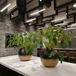 planten in bedrijven